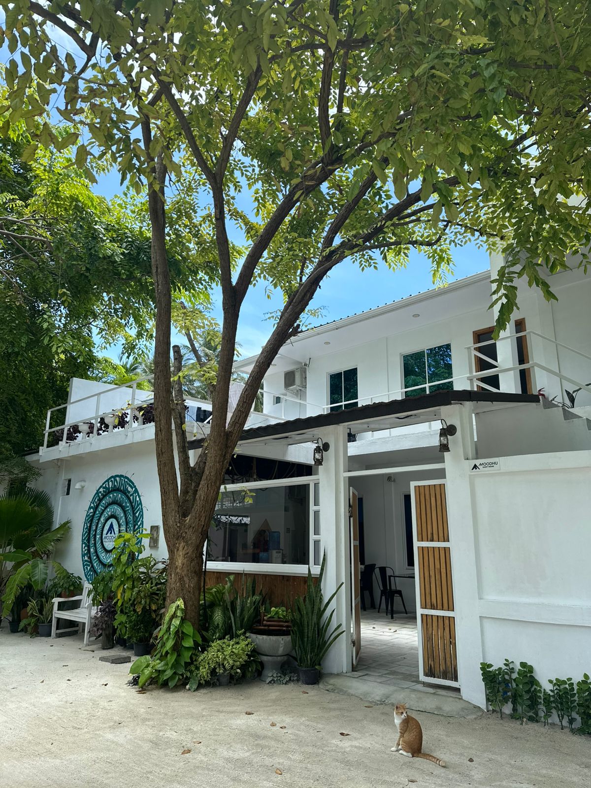 Moodhu Guesthouse, K. Himmafushi